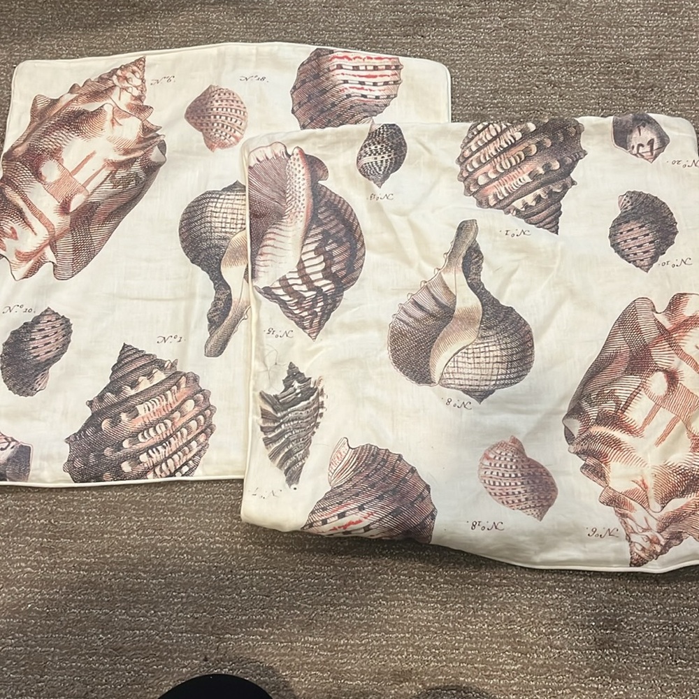Williams & Sonoma decorative seashell sham